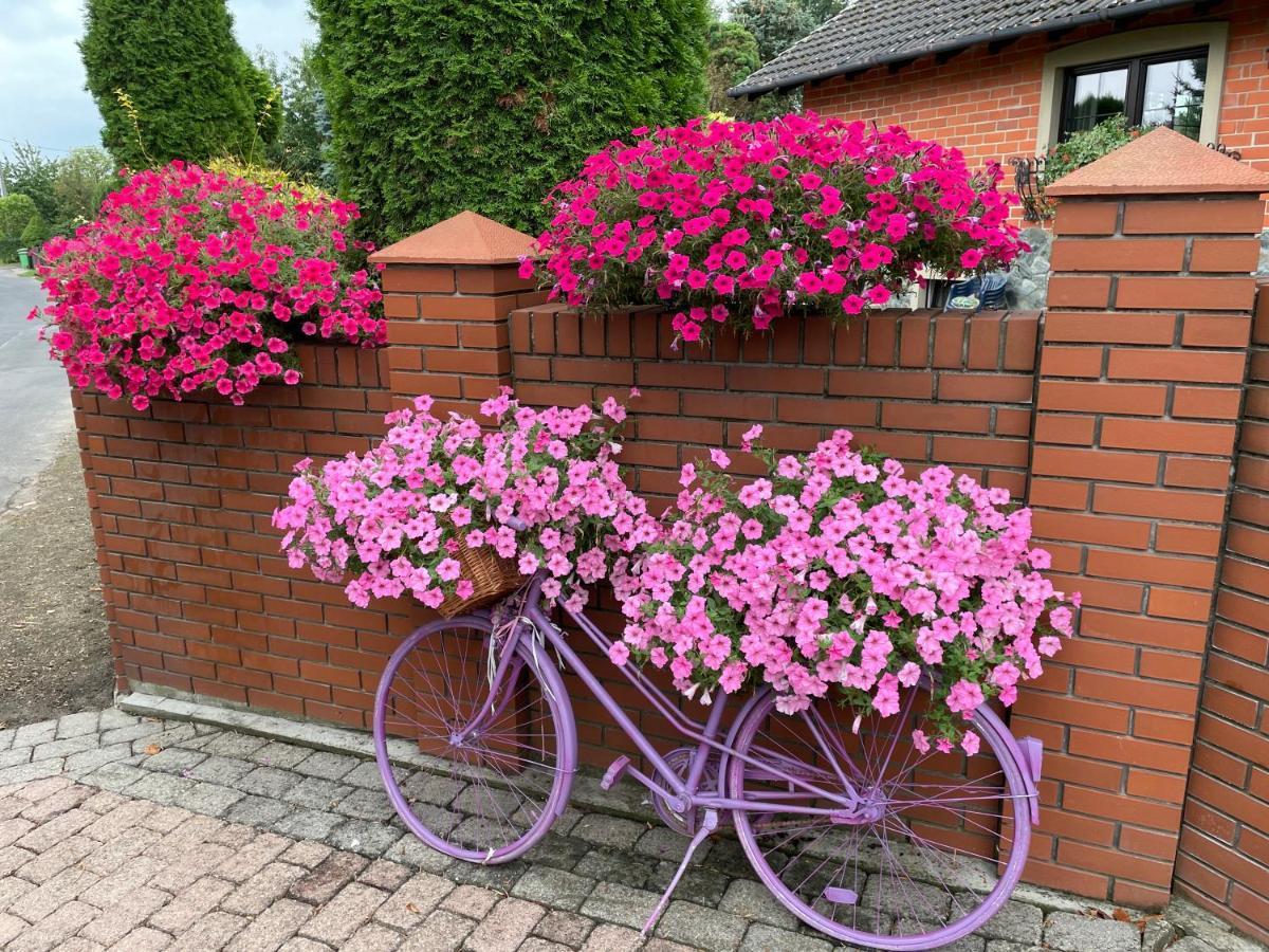 Hortus Apartament Z Klimatyzacja Boleslawiec  Bagian luar foto