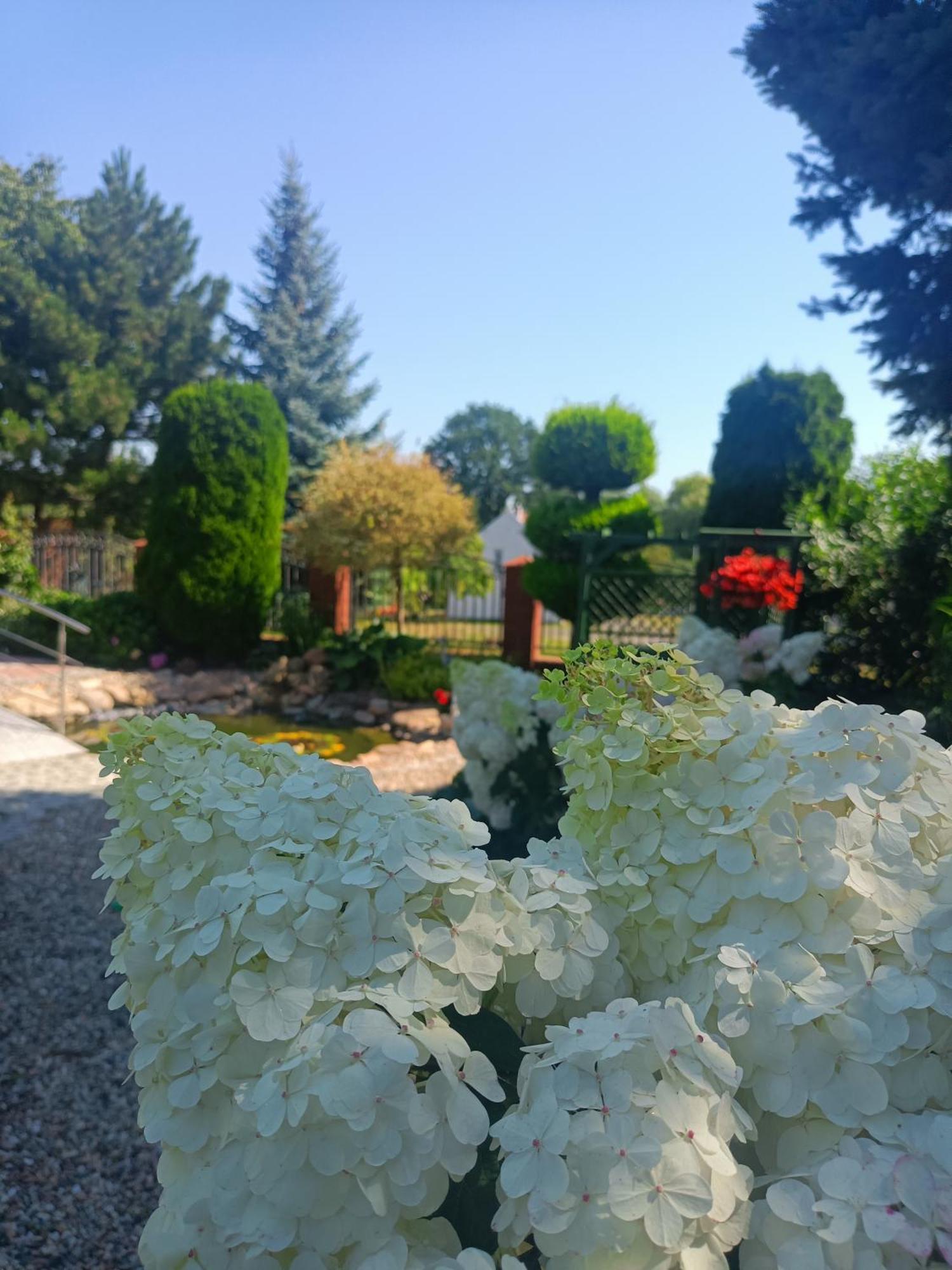Hortus Apartament Z Klimatyzacja Boleslawiec  Bagian luar foto