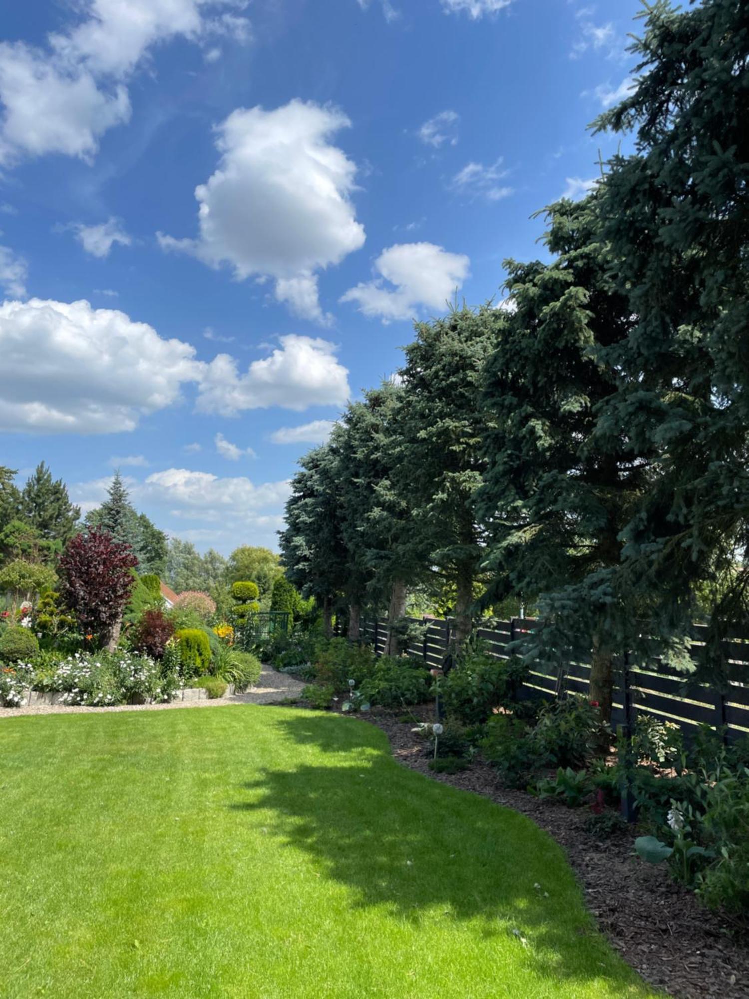 Hortus Apartament Z Klimatyzacja Boleslawiec  Bagian luar foto