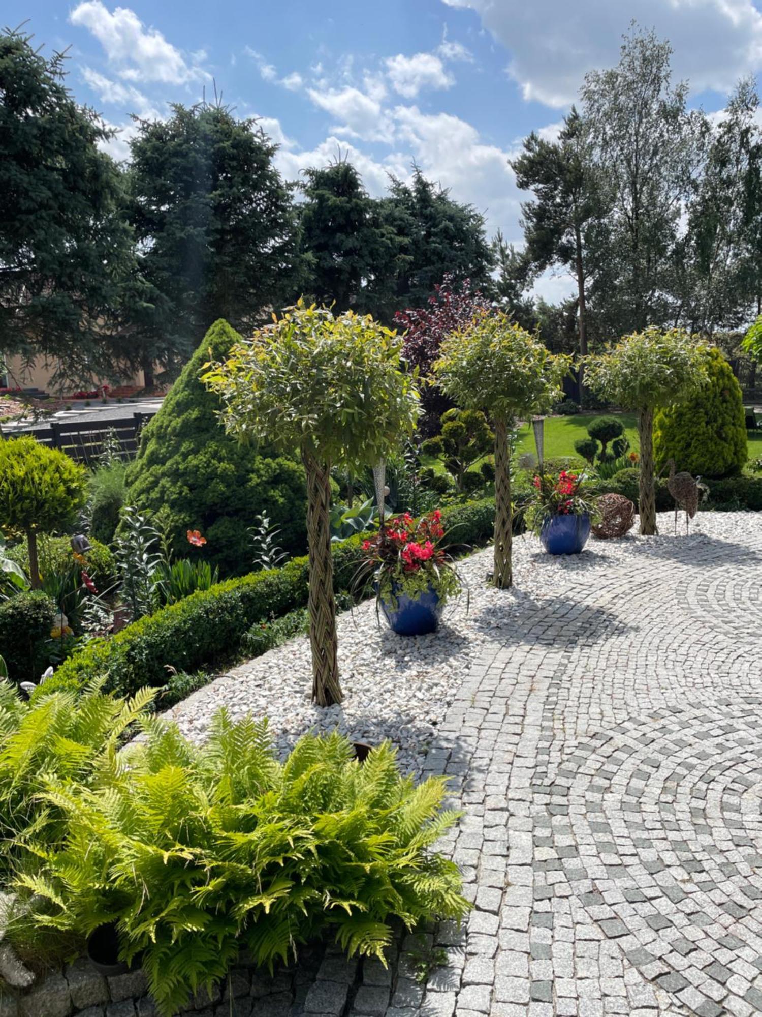 Hortus Apartament Z Klimatyzacja Boleslawiec  Bagian luar foto