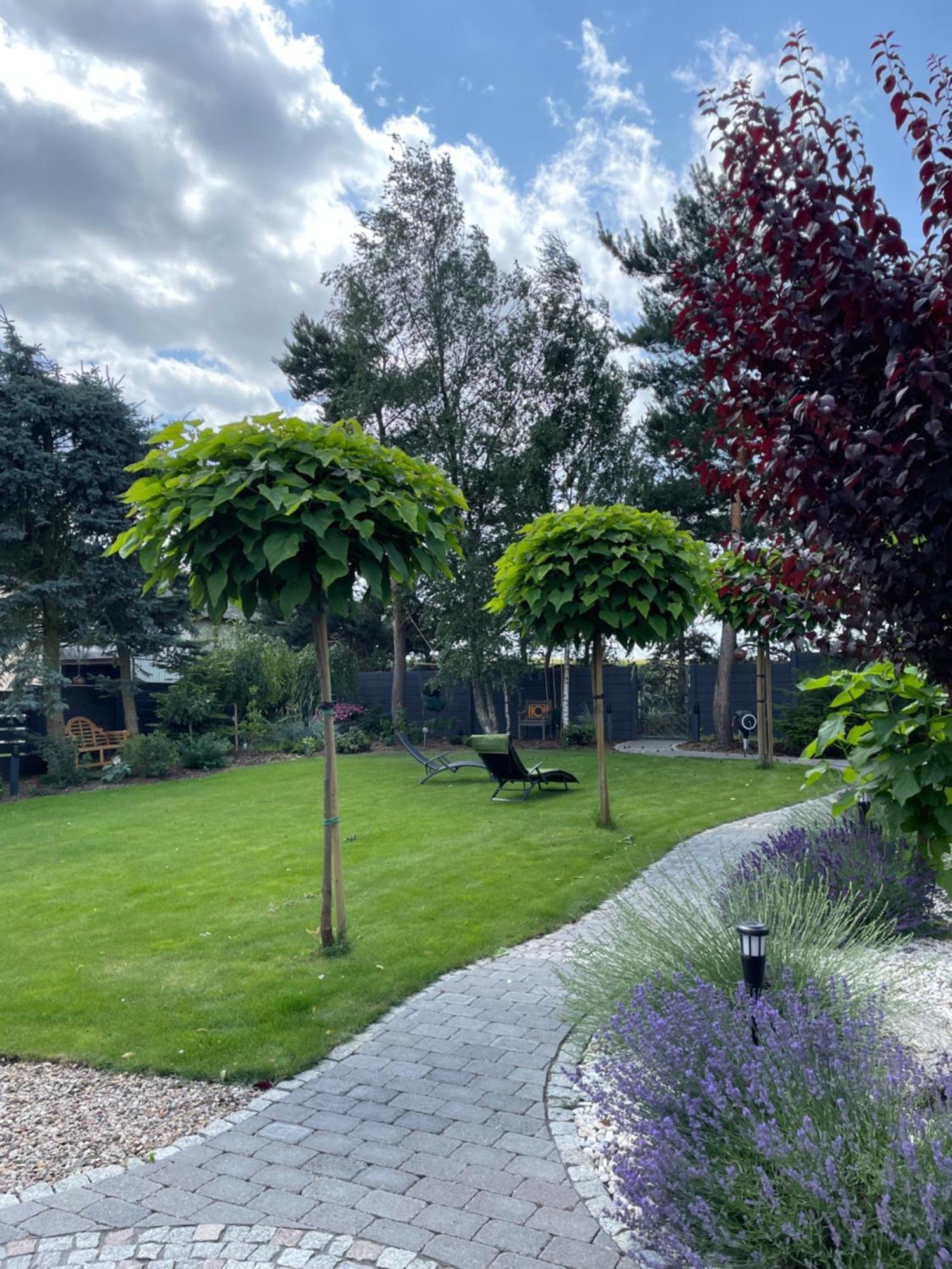 Hortus Apartament Z Klimatyzacja Boleslawiec  Bagian luar foto