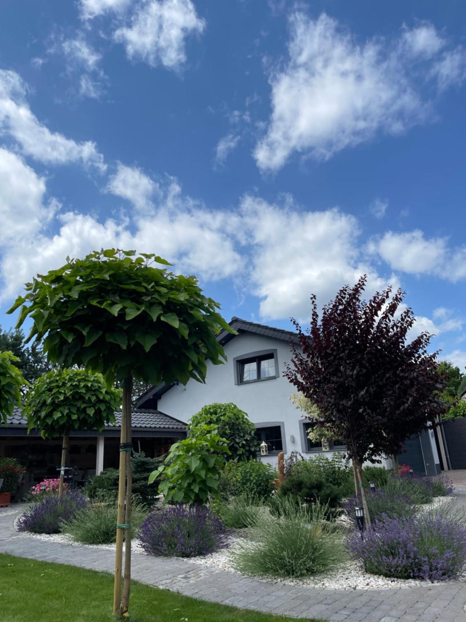 Hortus Apartament Z Klimatyzacja Boleslawiec  Bagian luar foto